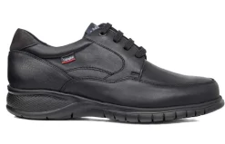 SCARPONCINI STARHORSE