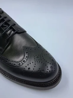 STRINGATE CODA RONDINE MASTER VERDE